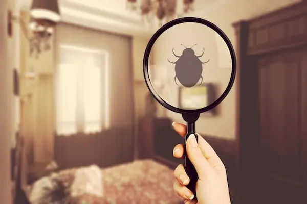 Pest Inspections